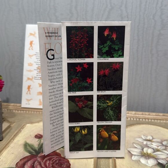 Vintage 1998 Great Smoky Mountains National Park Pamphlets Set of Four - Picture 13 of 16